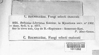 Image Associated With the Occurence